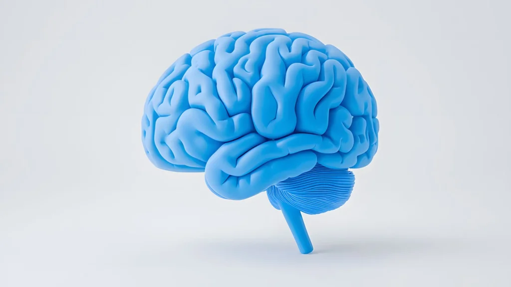 Ilustración del cerebro humano que representa la alostasis energética interoceptiva y su papel en la conexión entre salud metabólica, interocepción y depresión.