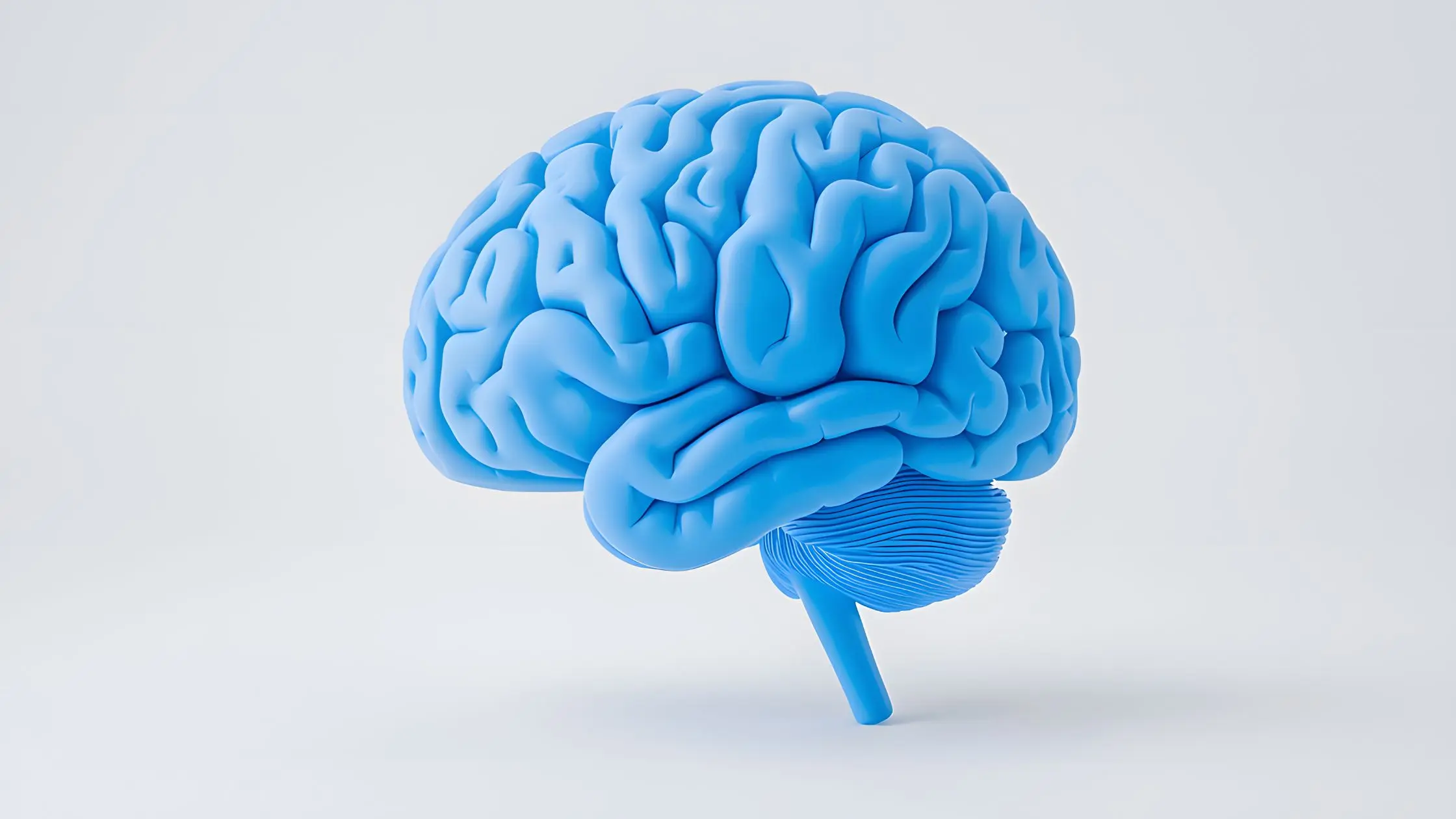 Ilustración del cerebro humano que representa la alostasis energética interoceptiva y su papel en la conexión entre salud metabólica, interocepción y depresión.